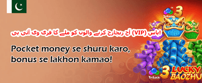 وی آئی پی ہفتہ وار کیش بیک